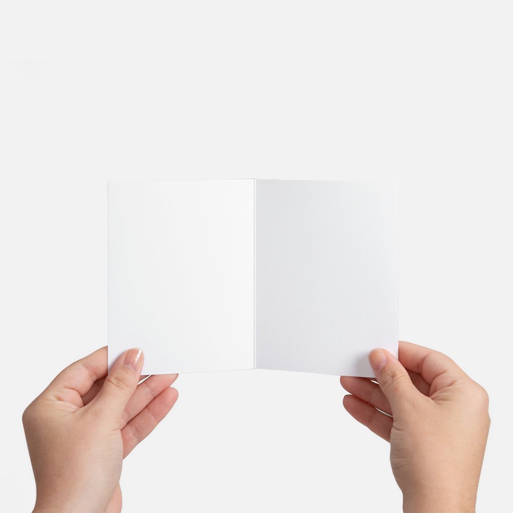 PRESALE | Snapdragon Flowers | Pack of 5 folded cards