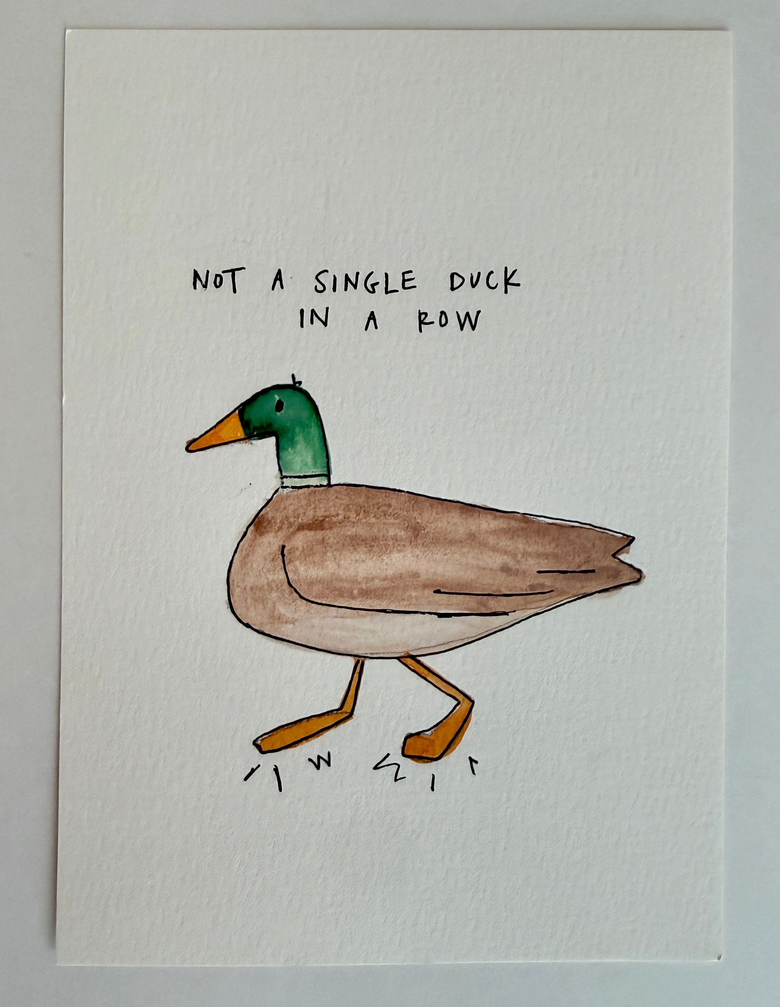 Not a single duck in a row